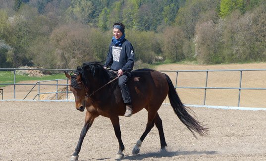 Preise Reiten